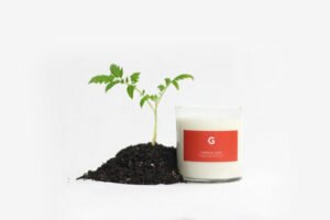 Grate Co tomato leaf candle portland holiday shopping guide